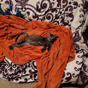 Fundraising Page: Chelsea Schrader